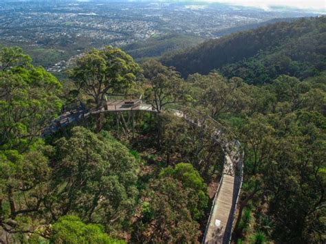 Explore Mount Archer Lookout & Skywalk in Rockhampton