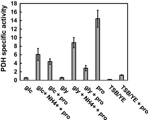 Specific Activities Nmoles Min Mg Protein Of L Proline