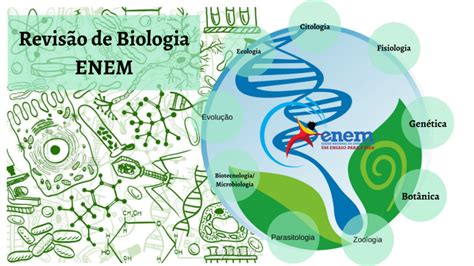 Revisão de Biologia ENEM by Rafael Ferraro on Prezi