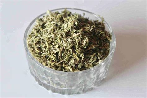 Buy Dried Mugwort Leaves Bloomybliss