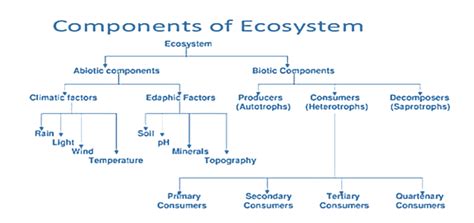 Ecosystem Meaning Components Types And Functions