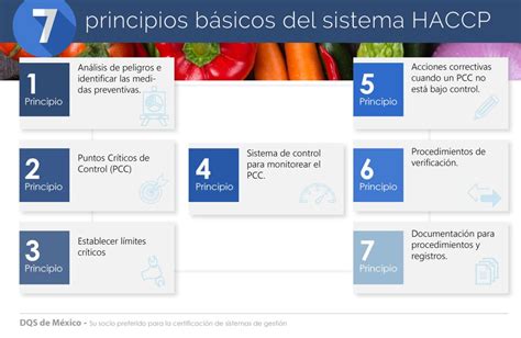 Cu Les Son Los Pilares Del Sistema Haccp Pilares Del Sistema Haccp