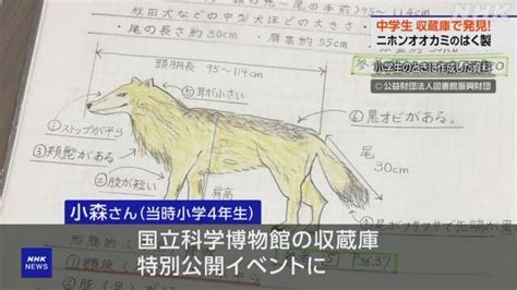 はく製は絶滅したニホンオオカミか 気づいたのは都内の中学生 Nhk サイエンス