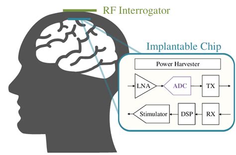 The architecture of implantable neural interface, which is mainly ...