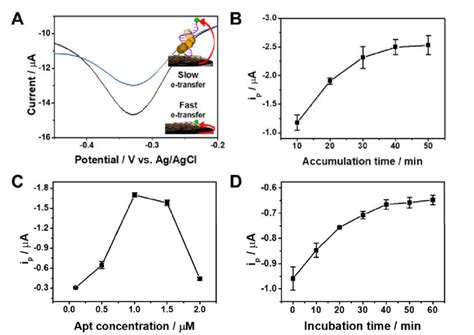 A Differential Pulse Voltammetry Dpv Curves Of Apt Ergo Gce In The