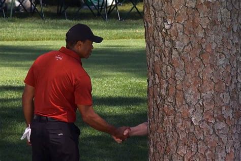 Template Tiger Woods Shaking Hands With A Tree Know Your Meme