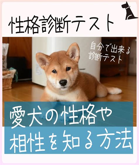 【犬の性格診断 キャンベルテストの診断方法】 犬ラブ🐕‍🦺黒シュナが投稿したフォトブック Lemon8