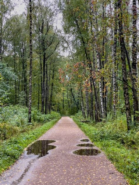 Naked People Woods Pissing Stock Photos Free Royalty Free Stock Photos From Dreamstime