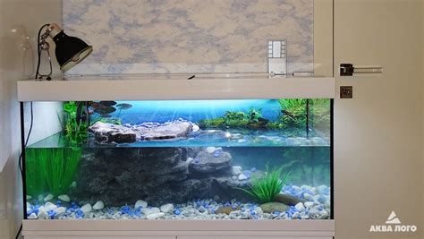 Аквариум для красноухих черепах - Фотогалереи - Аква Лого