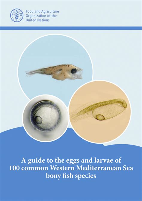 PDF A Guide To The Eggs And Larvae Of 100 Common Western