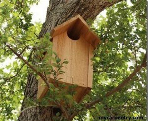 24 DIY Owl House Plans To Attract Birds - DIYS