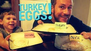 What Do Turkey Eggs Taste Like?