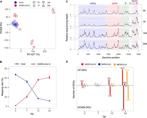 Frontiers Comparative Transcriptome Analysis Reveals The Intensive