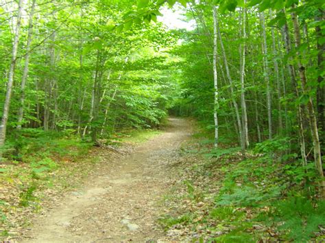 Baldpate Mt. - Foster Pond Lookout, South Bridgton, Maine