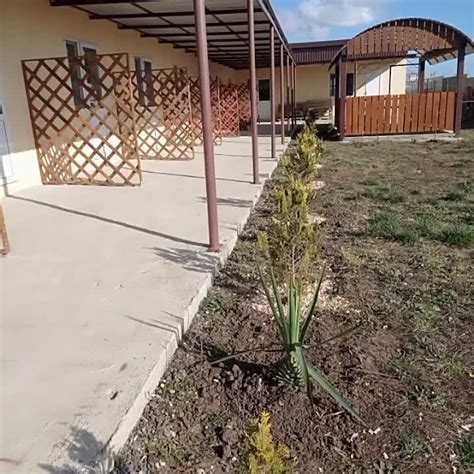 Гостевой дом "LETO"