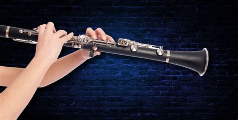 A Guide To The Different Clarinet Types | Ted's List