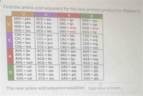 Solved: Find the amino acid sequencect for Patient 2. The new amino ...