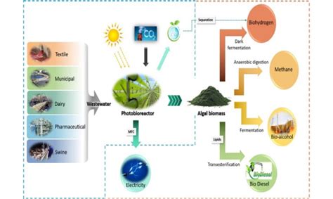 Algal biorefinery mechanism (Bhatia et al. 2020) | Download Scientific ... 