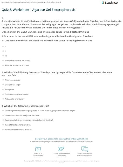 Lab Worksheet Xlsx Exercise Agarose Gel Electrophoresis Data Hot Sex Picture