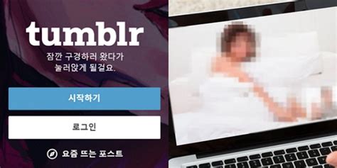 “음란물도 표현의 자유”라던 ‘텀블러에서도 이제 ‘야동 못 본다 인사이트