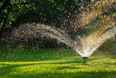 Choosing the Right Sprinkler for your Garden