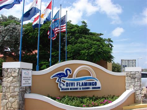 Preferred Accommodations: Divi Flamingo Resort and Casino on Bonaire