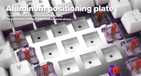 Amazon Gk Gamakay Tk V Silent Mechanical Keyboard With Tft Screen Hot Swap Rgb