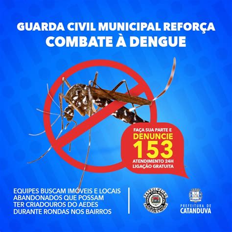 Guarda Civil Municipal Reforça Combate à Dengue Em Catanduva Alta Tensão