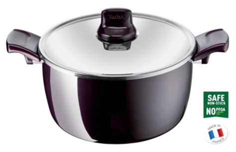 Tefal Resist Intense Stewpot 26cm Glass Lid Tefal Hailo