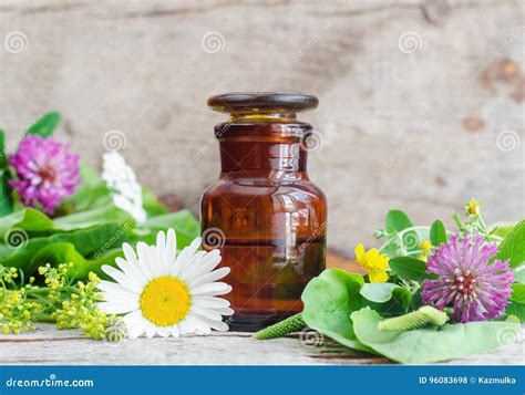 Botella Del Boticario Y Diversas Hierbas Curativas Y Flores Concepto De