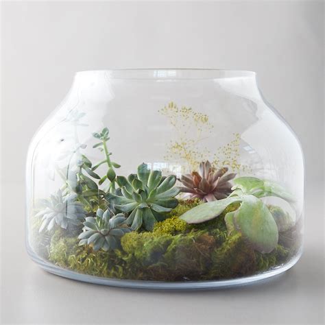 Recycled Glass Terrarium Artofit