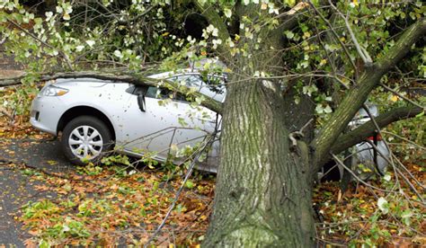 Baum stürzt bei Unwetter auf parkendes Auto wer haftet Recht Politik