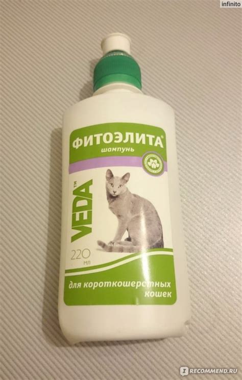 Шампунь Veda Фитоэлита от колтунов для пушистых кошек - «Ваш питомец ...