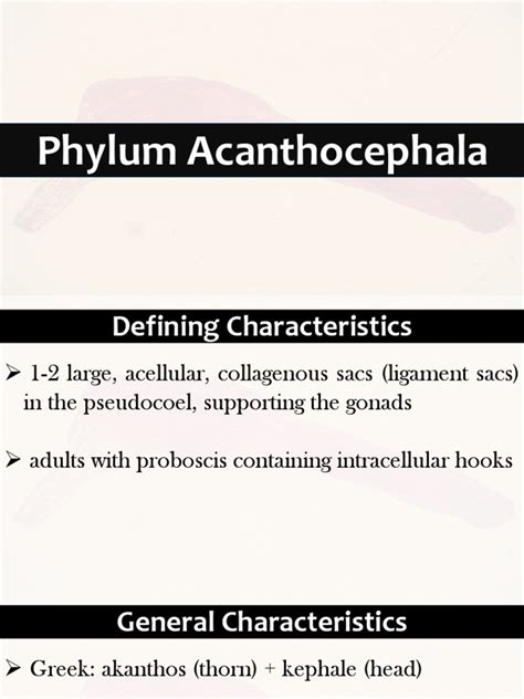 Acanthocephala | PDF | Zoology | Organisms