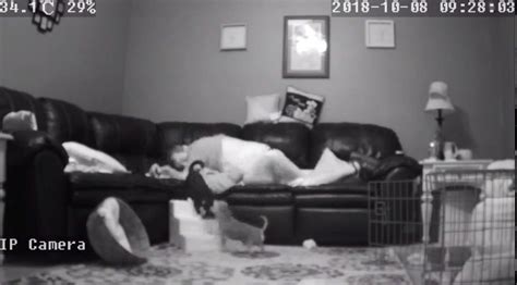 Free Ip Camera Porn Videos Xhamster