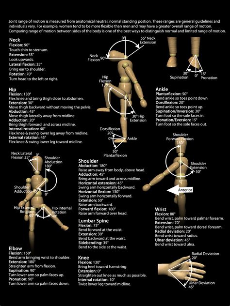 Joint Range Of Motion Degree Chart Real Bodywork