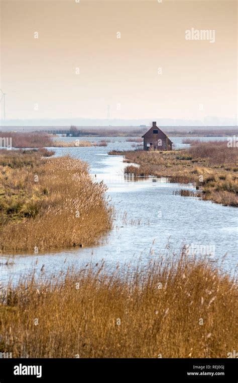 The Netherlands Tiengemeten A Deserted House On The Island Of