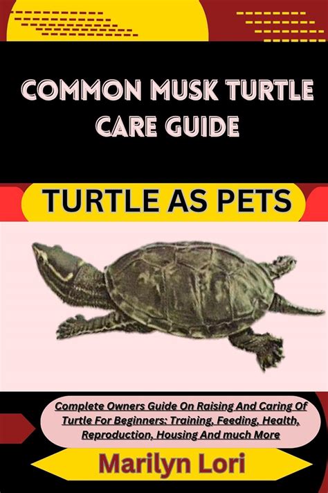 Common Musk Turtle Care Guide Turtle As Pets Complete Owners Guide On