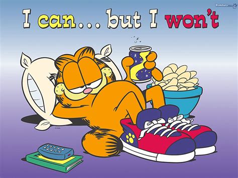 i can but i won't - Garfield Wallpaper (262532) - Fanpop