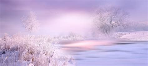 10,000+ Free Fantasy & Nature Photos - Pixabay