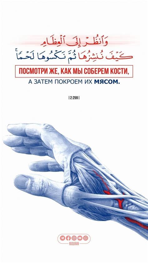 Pin by عابر الريحاني on صور دينيه | Quran quotes, Quran verses ...