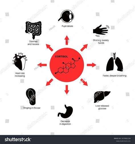 Stress Symptoms Human Body Emergency Reaction Stock Vector (Royalty