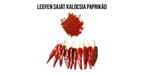 Kalocsai csípős paprika növény nevelő szett Pepita hu