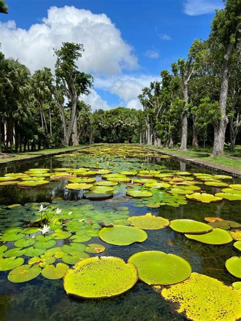 Cosa Fare E Cosa Vedere A Mauritius