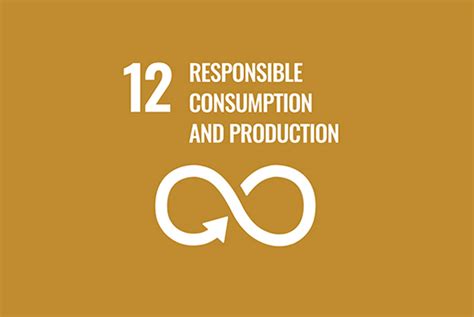 sdg responsible consumption  production sustainable development