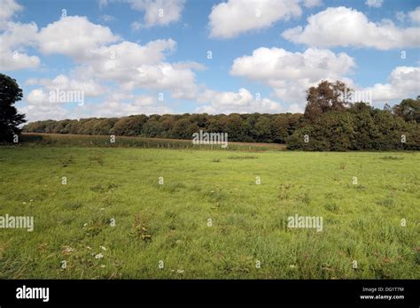 Agincourt Battlefield Hi Res Stock Photography And Images Alamy