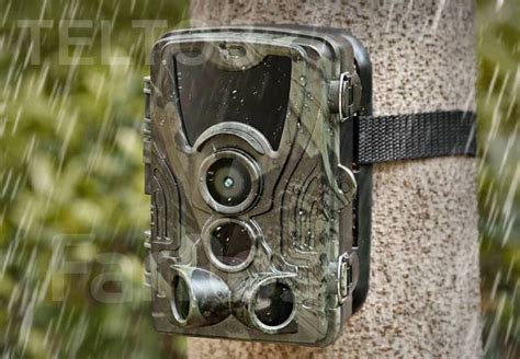 Фотоловушка Филин 300 - Охотничье снаряжение во Владивостоке