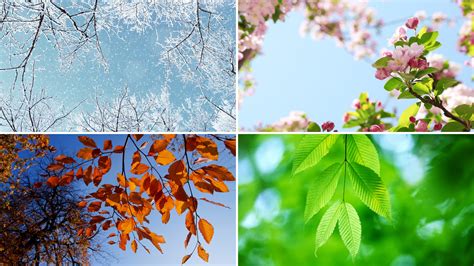 The seasons of our cycle: How to go with the flow throughout the month ... 