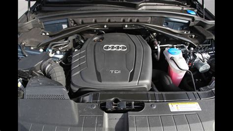 Audi Q Kaufberatung Alle Modellvarianten Im Berblick Auto Motor