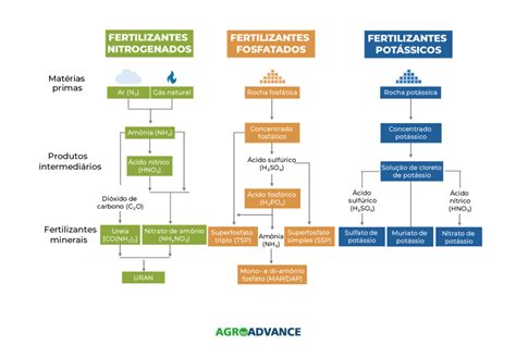 Fertilizantes O que são para que servem e quais os 3 tipos